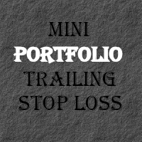 Mini Portfolio Traling Stop Loss