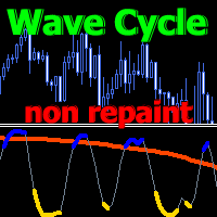 Wave Cycle Explorer