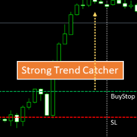 Strong Trend Catcher