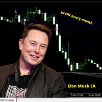 Elon Musk EA