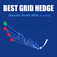 Best Grid Hedge