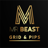 Mr Beast Grid