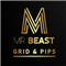 Mr Beast Grid