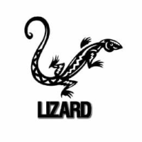 Lizard MT