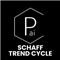 Schaff Trend Cycle System MT5 Profectus AI Project
