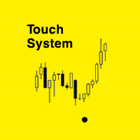 MCP Touch system