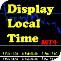 DLT Display Local Time