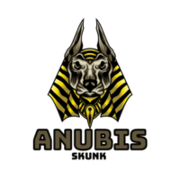 Anubis Skunk