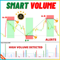 Smart Volume MT5