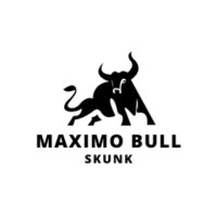 Maximo Bull Skunk