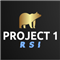 Project 1 RSI