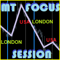 MT Focus Session