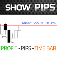 Show Pips for MT5