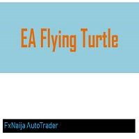 EA Flying Turtle