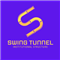 Swing Tunnel Institutional Structure