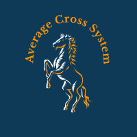 Average Cross System