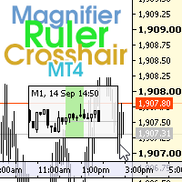 Magnifier Ruler Crosshair