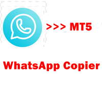 WhatsApp Copier To MT5