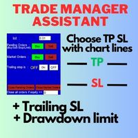 Trading Assistant Manager