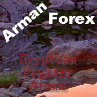 Egyptian Fighter Arman