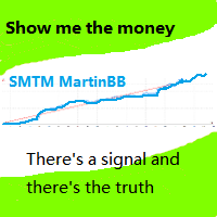 SMTM MartinBB