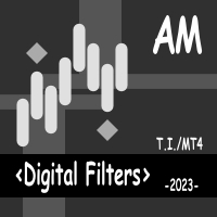 Digital Filters AM