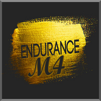 Endurance M4