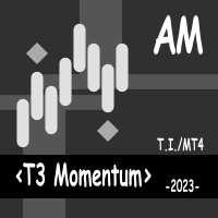 T3 Momentum AM