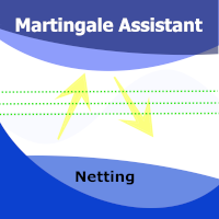Martingale Netting