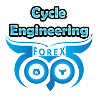 Cycle Engineering