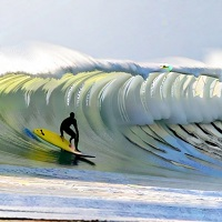 Linear Surfer