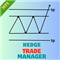 Hedge Trade Manager MT5