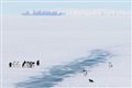 Ученые зафиксировали в Антарктиде рекордно низкую температуру на поверхности Земли
