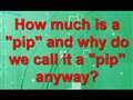 What's the difference between a Point and A Pip?