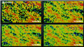 Stochastic Cluster Optimization