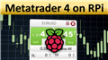 MetaTrader 4 on Raspberry Pi