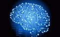 Стэнфордские ученые создают самую большую нейронную сеть на основе графических процессоров NVidia » DailyTechInfo - Новости науки и технологий, новинки техники.