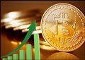 Bitcoin Could Rise As High As $35000: Survey
