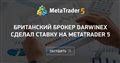 Британский брокер Darwinex сделал ставку на MetaTrader 5