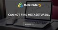 Can not find metasetup.dll