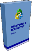 Metatrader 5 DDE Server