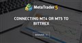Connecting MT4 or MT5 to Bittrex
