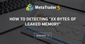 how to detecting "xx bytes of leaked memory"
