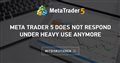 Meta Trader 5 does not respond under heavy use anymore