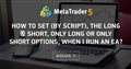 How to Set (by Script), the Long & Short, Only Long or Only Short options, when i run an EA?