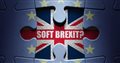 Soft Brexit And The EU Elections