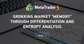 Grokking market "memory" through differentiation and entropy analysis