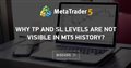 Why TP and SL levels are not visible in MT5 history?