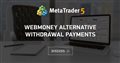 Webmoney Alternative withdrawal payments