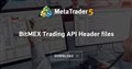BitMEX Trading API Header files